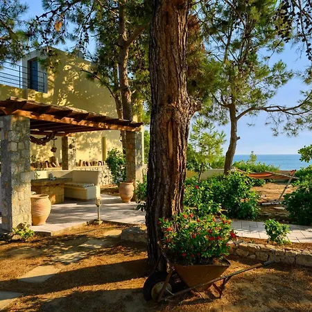 Tasos By The Sea Daire *